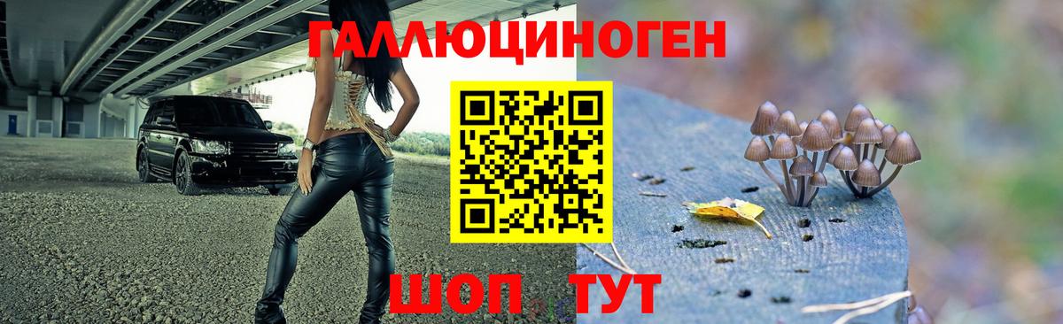 Чита  Псилоцибиновые грибы ЛСД  магазин  наркотиков  Вход с VPN 